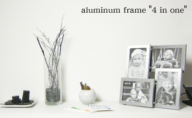 aluminum frame "4 in one"