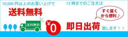 10,500円以上で送料無料,12時までのご注文は即日配達